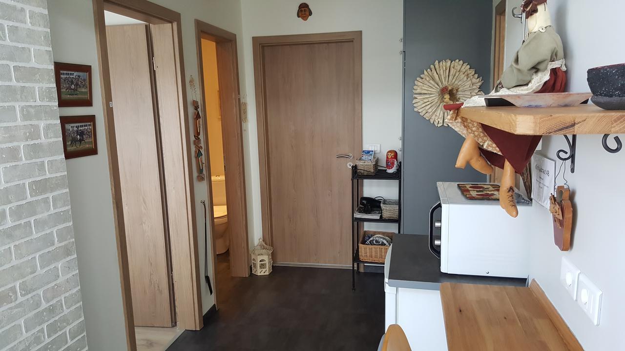 Hvita Husith, Kirkjubraut 48 Apartment Hofn Ngoại thất bức ảnh
